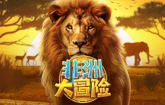78m威久国际