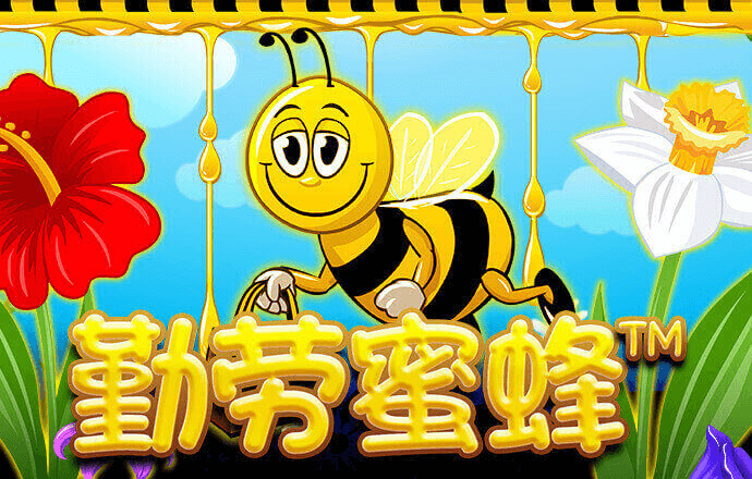 问鼎女王模拟器