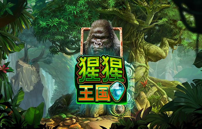 球速体育
